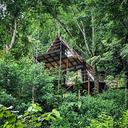 Sunset Valley Kerala Pool Resort - Serene Natural Forest Cottage Stay In Idukki With Sunrise & Sunset Panoramas, Natural Streams & Tranquil Summer Evenings Pīrmed Eksteriør billede