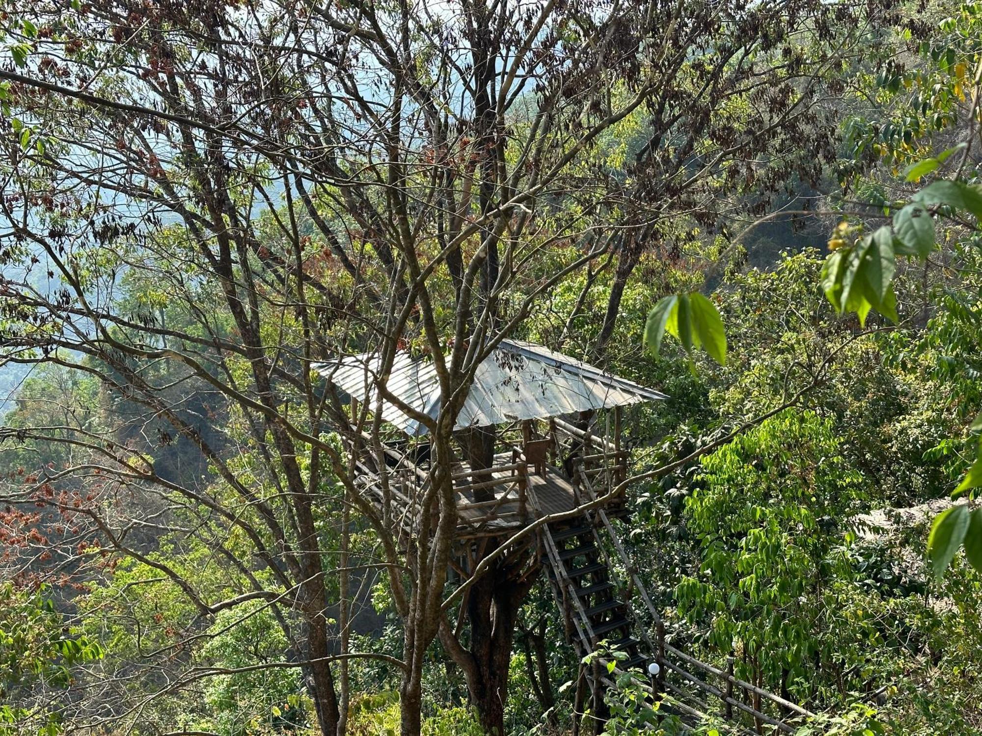 Sunset Valley Kerala Pool Resort - Serene Natural Forest Cottage Stay In Idukki With Sunrise & Sunset Panoramas, Natural Streams & Tranquil Summer Evenings Pīrmed Eksteriør billede