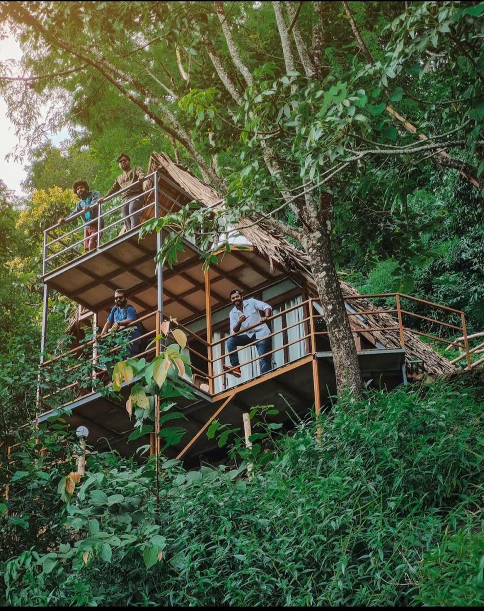 Sunset Valley Kerala Pool Resort - Serene Natural Forest Cottage Stay In Idukki With Sunrise & Sunset Panoramas, Natural Streams & Tranquil Summer Evenings Pīrmed Eksteriør billede