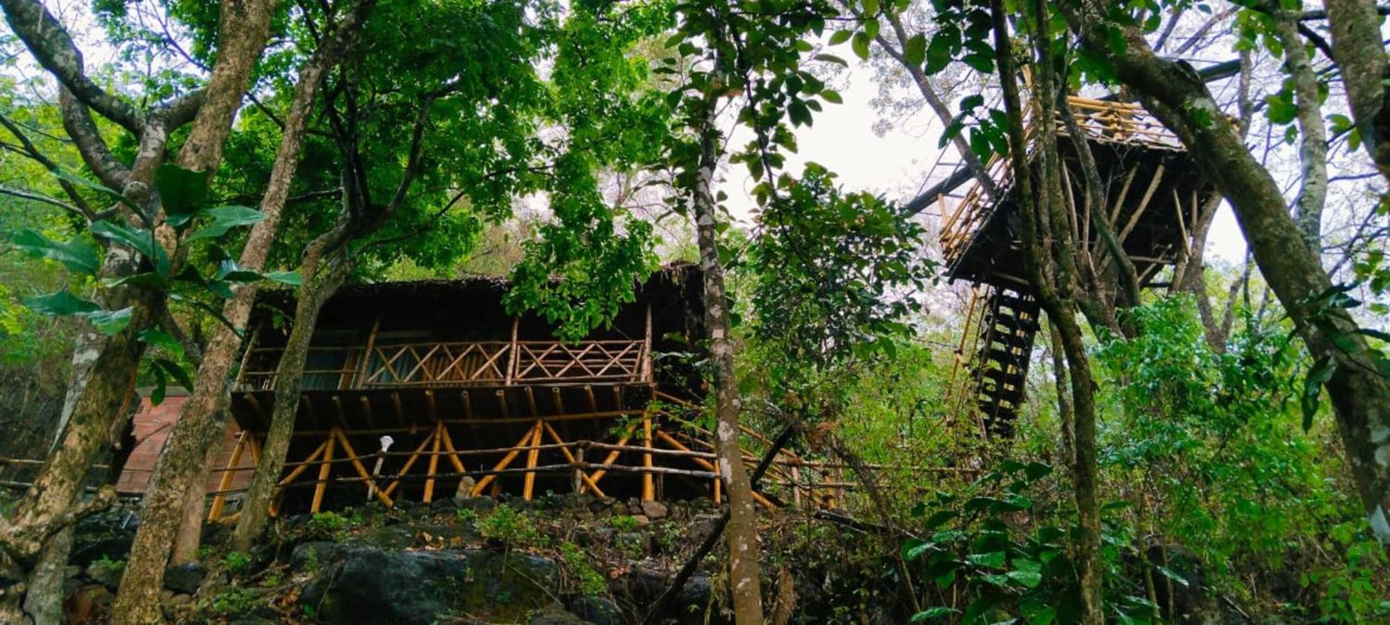 Sunset Valley Kerala Pool Resort - Serene Natural Forest Cottage Stay In Idukki With Sunrise & Sunset Panoramas, Natural Streams & Tranquil Summer Evenings Pīrmed Eksteriør billede