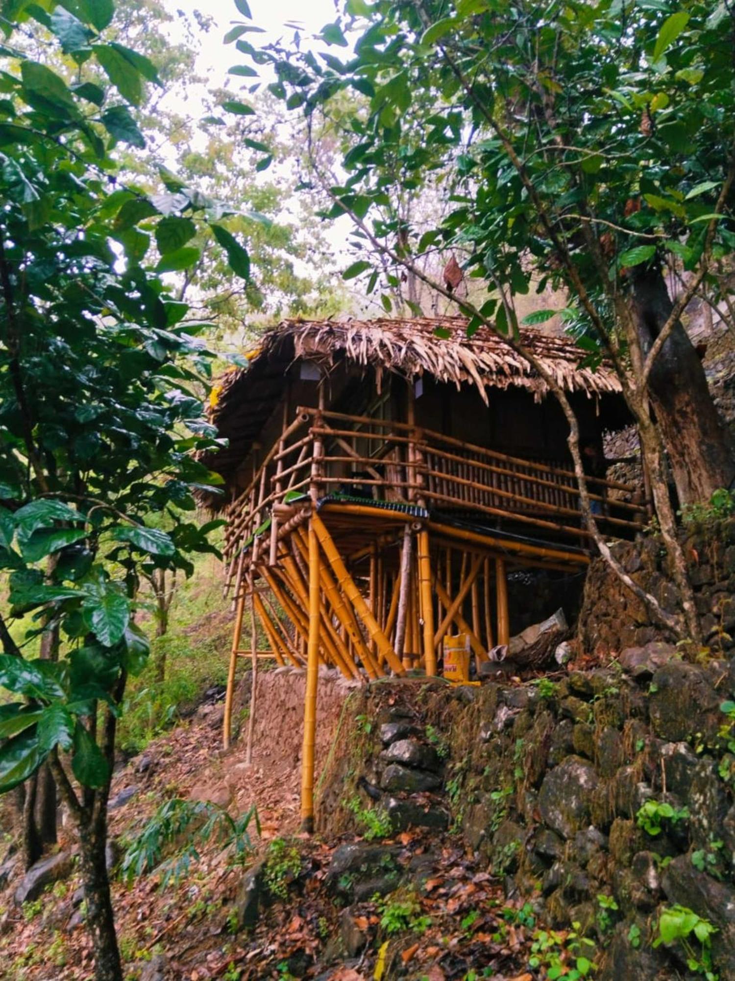 Sunset Valley Kerala Pool Resort - Serene Natural Forest Cottage Stay In Idukki With Sunrise & Sunset Panoramas, Natural Streams & Tranquil Summer Evenings Pīrmed Eksteriør billede